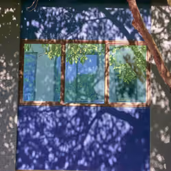 Window Love - Police station behind shadows