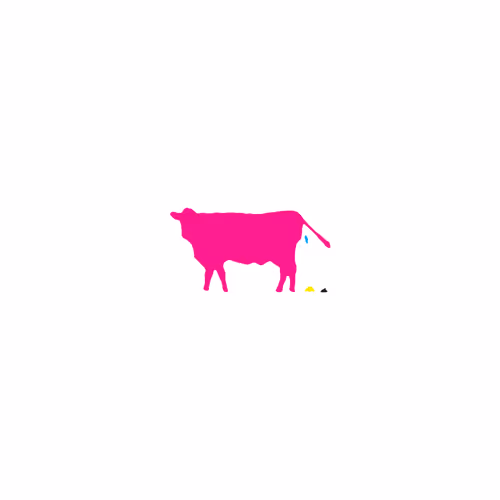 Cmyk Everyday