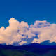 waldherrschaft Collection