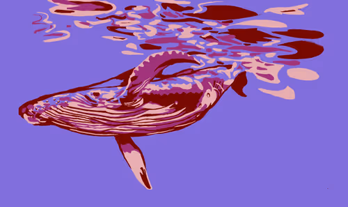 Item #86286569011672249143581902672238150923937334210812916089856769966850686582785 Media