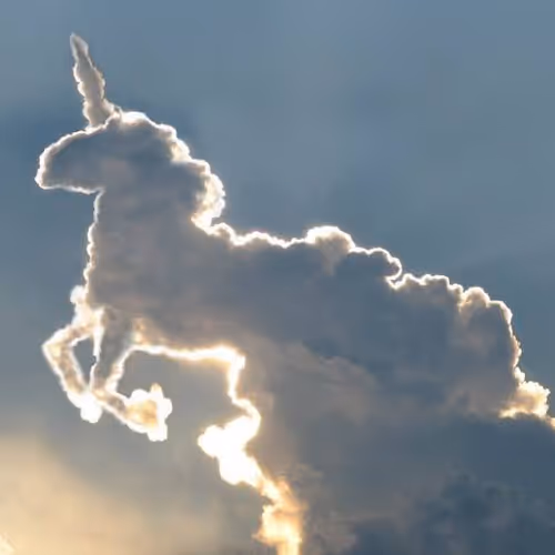 Japan_Samuraiboy Collection