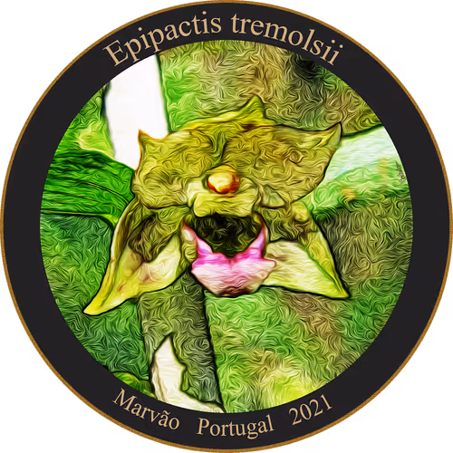 Item #83346383481971607988729477170446348570292642791419063456680174208875994546177 Media