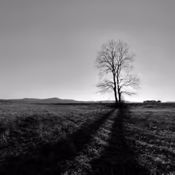 Loneliness