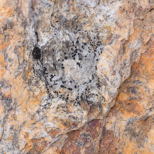 89716942802498903345130334803239853703441552995015827228005889638995775717377