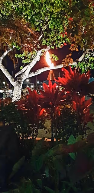 Item #110534027555100073449800383063776776852092282541871866925712019207917571932161 Media