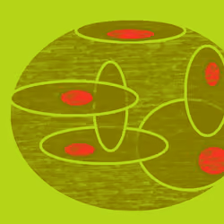 Shapecast #5