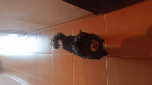 Untitled Collection #551565849