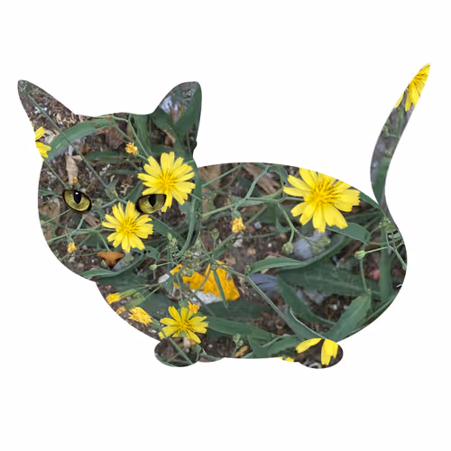 Item #7075100801842414929541159204983769780243264764604993181312715088405452554241 Media