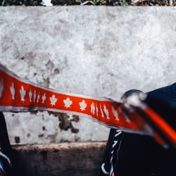 Original Camera Strap