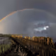 100 Days Rainbow