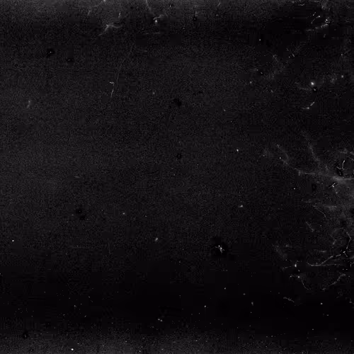 Lifeincelluloid