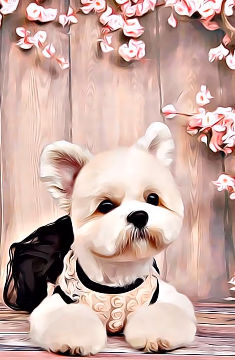 Item #21607923784025543658024067331009769919395041958272689574271021148549180030977 Media