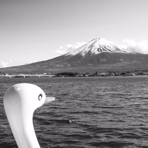 Camelcut Collection - old V4