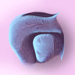 22649125704269163094356241950234990423345502107031132782905603968314187448321