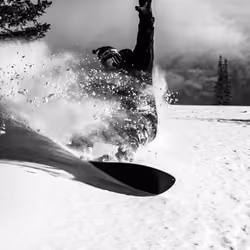 POW shred #5