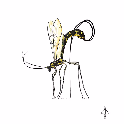 Item #15801673652802308372577505787352629385754574034337411443350540016483827713 Media