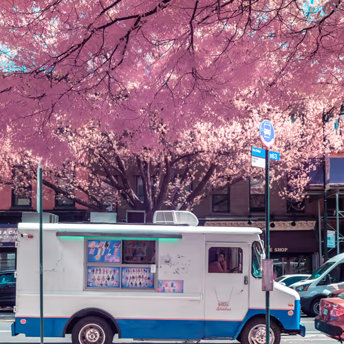 51038767389134457626930617169090287934471579480777975785156342719543894867969