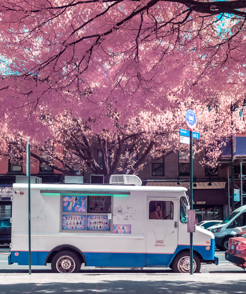 Item #51038767389134457626930617169090287934471579480777975785156342719543894867969 Media