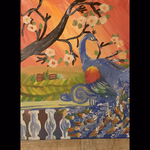 Untitled Collection #11344346