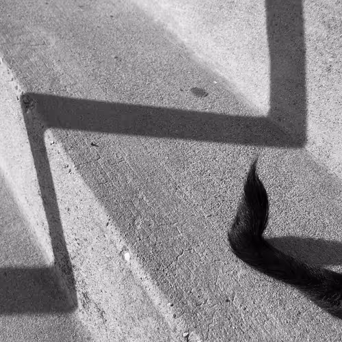 Item #56431751608181922231259635946092067407977788553703326303680802265670757646337 Media