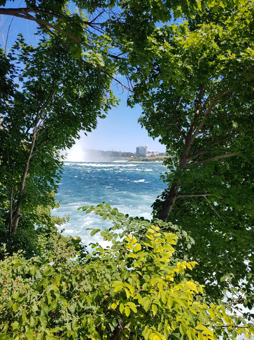 Item #20398726912547406339970687891835182810511091541282257052992388688873934290945 Media