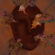 80100313115512681332214526626680821137031054694206293112706038126018866184201