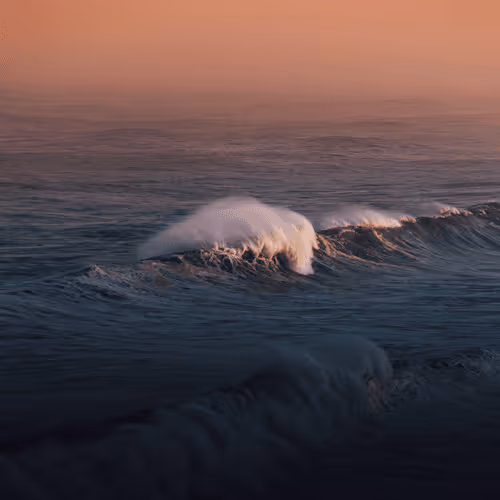 Dreamy Wave Edition