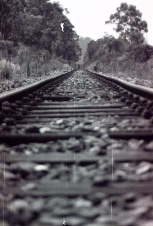 Item #17170766491500085813784528329408520152162080499931486046086089349190985449477 Media