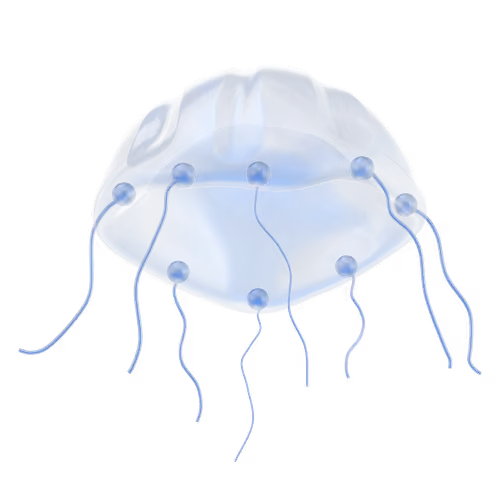 Item #34652949284347632822085905182730305137085110500994082201086763885766056607745 Media