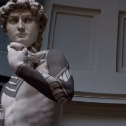 David 2/2