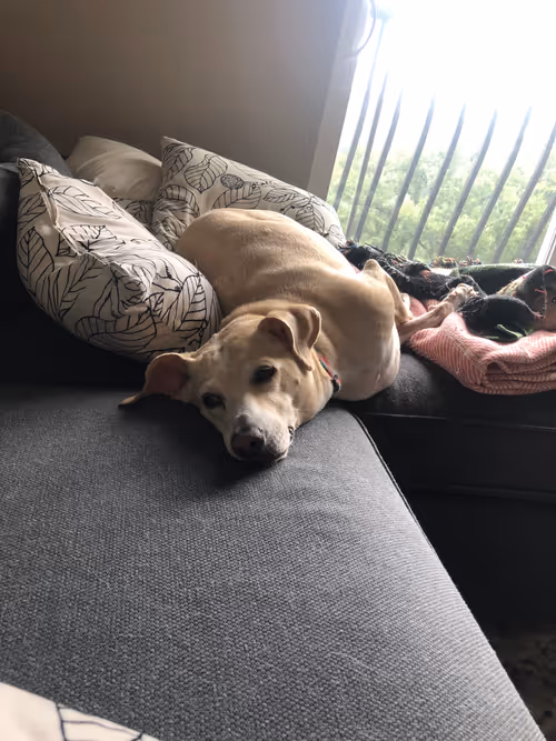 Item #87936365084545024922954846266013406485791365954799981050467889695988293566465 Media