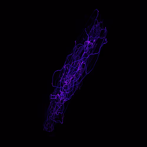 Item #58022428340145391453542665934531688432280773341889981171776041979817922396161 Media