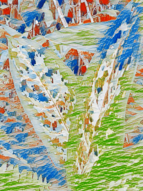 Item #69261177602478584146078213691104273677815526894191982293268527998079860736001 Media