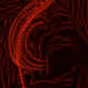 ozgun_c Collection - old - GzrRN8GjT0