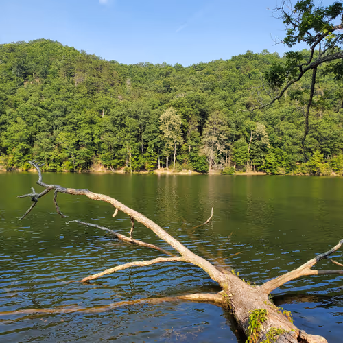 Untitled Collection #139047944