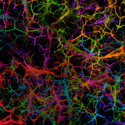 Item #50918555062582210159273167721725581522404743190091886750106034875097027706881 Media