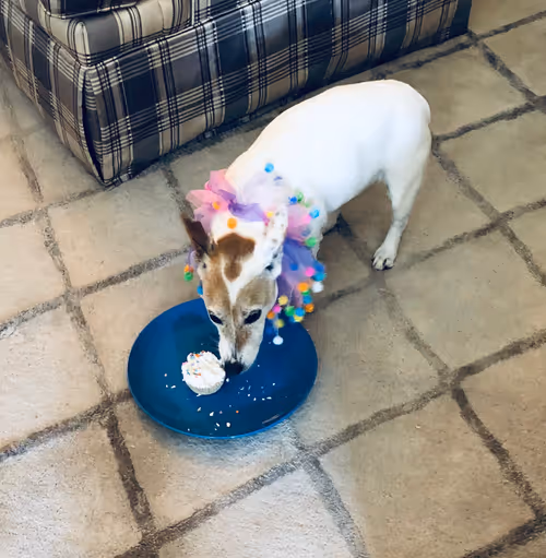 Item #5985210497355107417265215381210579199842884272282595265964883415508493271041 Media