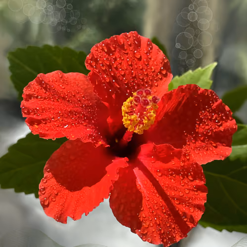 Floral fantasy #6