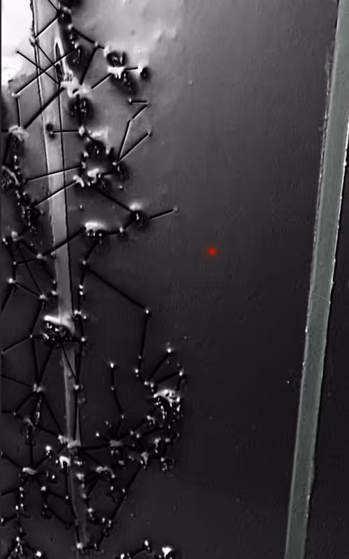 Item #42325752547649294312971445700834222179255883621461453096307519744660551499777 Media