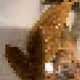 2850415134272365380187775685678842410458265265709128331682257598634746970113