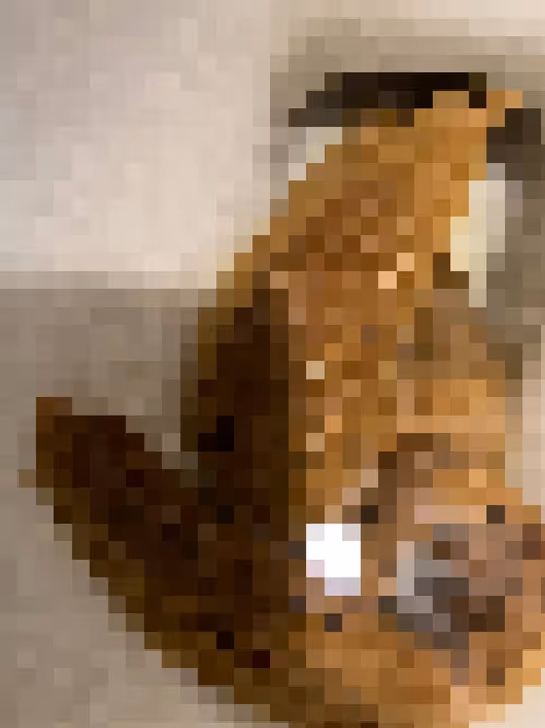 Item #2850415134272365380187775685678842410458265265709128331682257598634746970113 Media