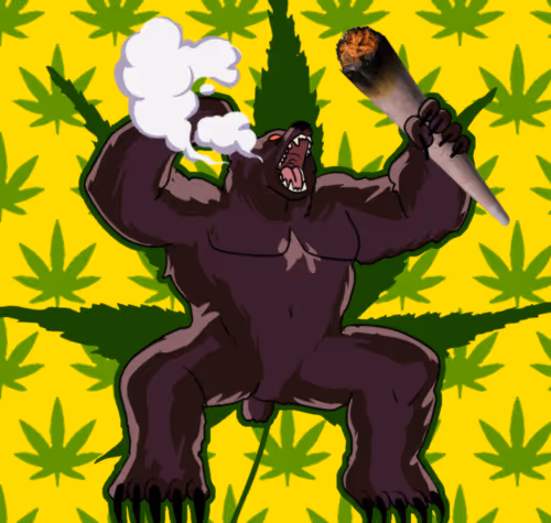 Item #54157901420455855580923595000461611710404189234785607239369629000212043268097 Media