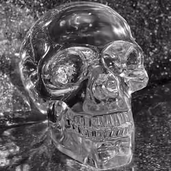 NOIR SKULL