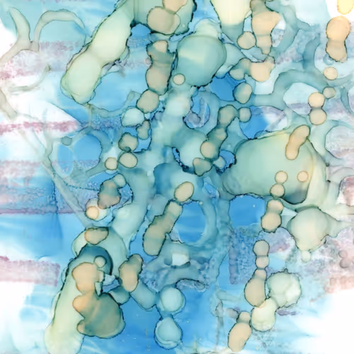 Item #29520418552145809798583464197808626937236403153754494126203225319861792014424 Media