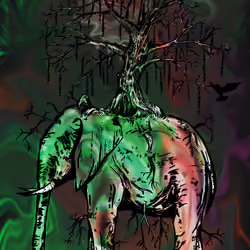 4#AcidCryptoTreePhant-NV