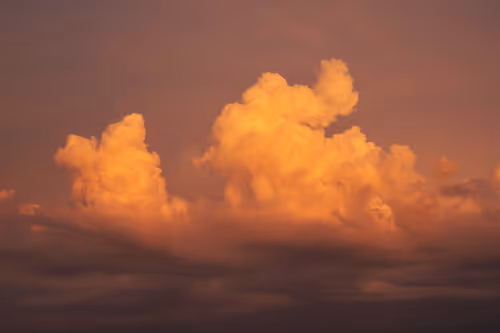 Item #90774225288665934587059440607395311701717167789030484580302433031175519862785 Media