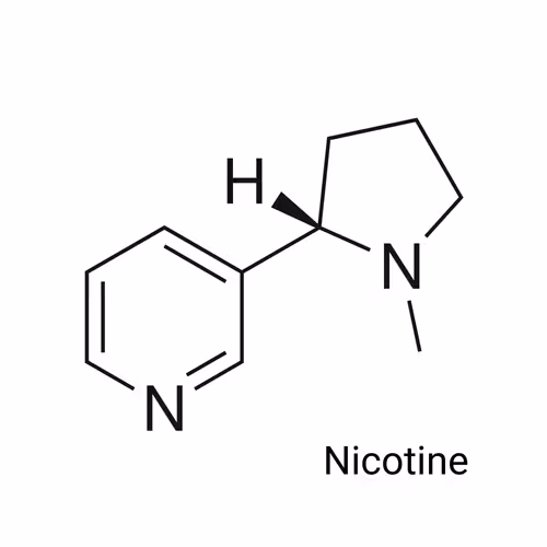 Item #64732396481221425237779336604136247156647002150051219445300180844732223586305 Media