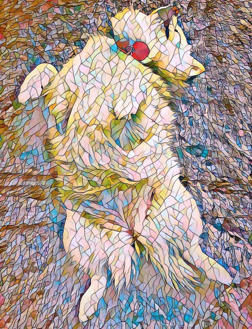 Item #109691074919996795536111699536855287894086748164974384566346973526151053443073 Media