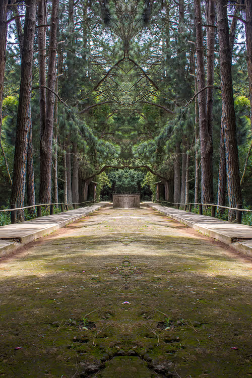 Item #28015580506308873973551522046074452583495511277393357600123661689593144541185 Media