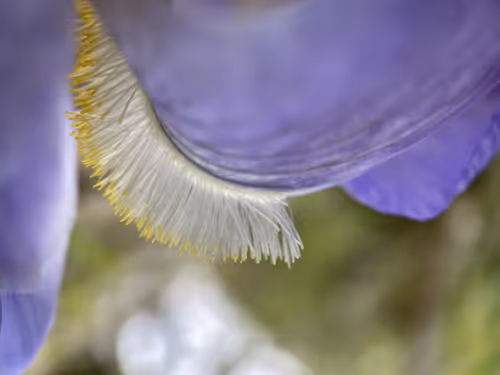 Item #101798116254510798330486236990451841615541533753866395116378150893924135206913 Media